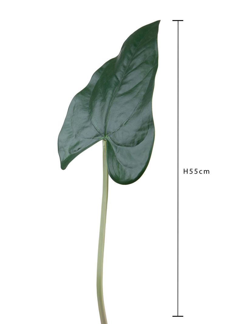 Pianta artificiale Foglia di felce Pteris (50 cm