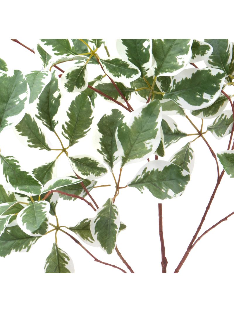 Rami Di Sicomoro Foglie Foglie Di Acero Decorative Verdi 50 60 Cm 100 G It 28498