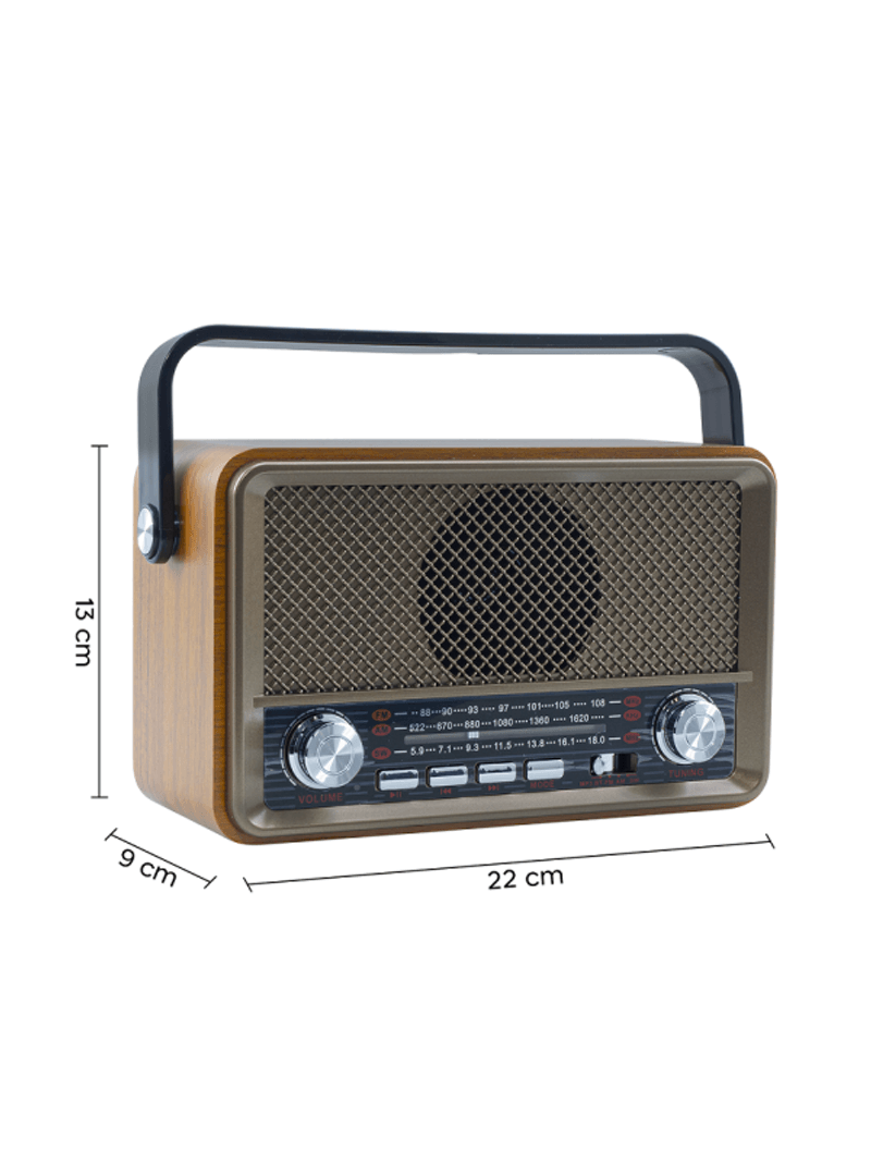 Radio FM Retro Wireless Q-SY500 Altoparlante MP3 Portatile