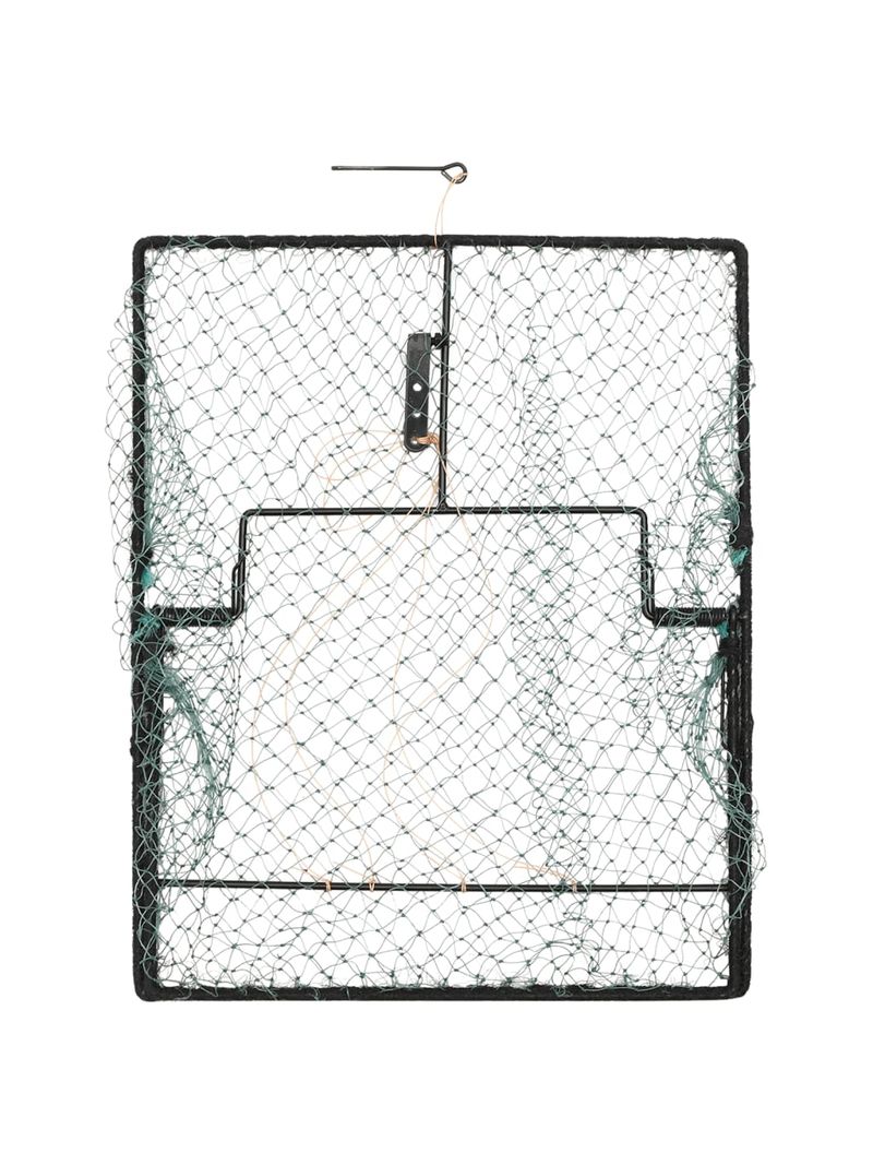 Trappola per uccelli verde 50x40 cm in acciaio 155269 - BricoBravo